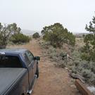 Cows have disappeared