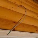 Cat5 and power wire for camera
