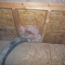 Blowing insulation