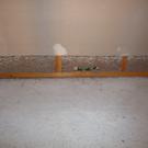 Found glue bottle dropped down wall (I removed it)