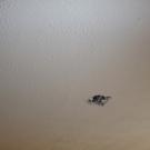 Ceiling textured and painted.