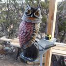 Fake owl