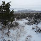 Arrival of winter at the cabin.