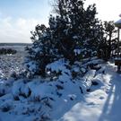 More snow