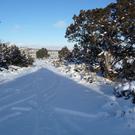 More snow