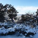 More snow